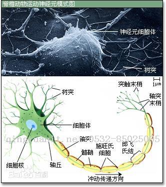 人工智能起步-反向回饋神經(jīng)網(wǎng)路算法（BP算法）-Java培訓(xùn),做最負(fù)責(zé)任的教育,學(xué)習(xí)改變命運(yùn),軟件學(xué)習(xí),再就業(yè),大學(xué)生如何就業(yè),幫大學(xué)生找到好工作,lphotoshop培訓(xùn),電腦培訓(xùn),電腦維修培訓(xùn),移動(dòng)軟件開發(fā)培訓(xùn),網(wǎng)站設(shè)計(jì)培訓(xùn),網(wǎng)站建設(shè)培訓(xùn)